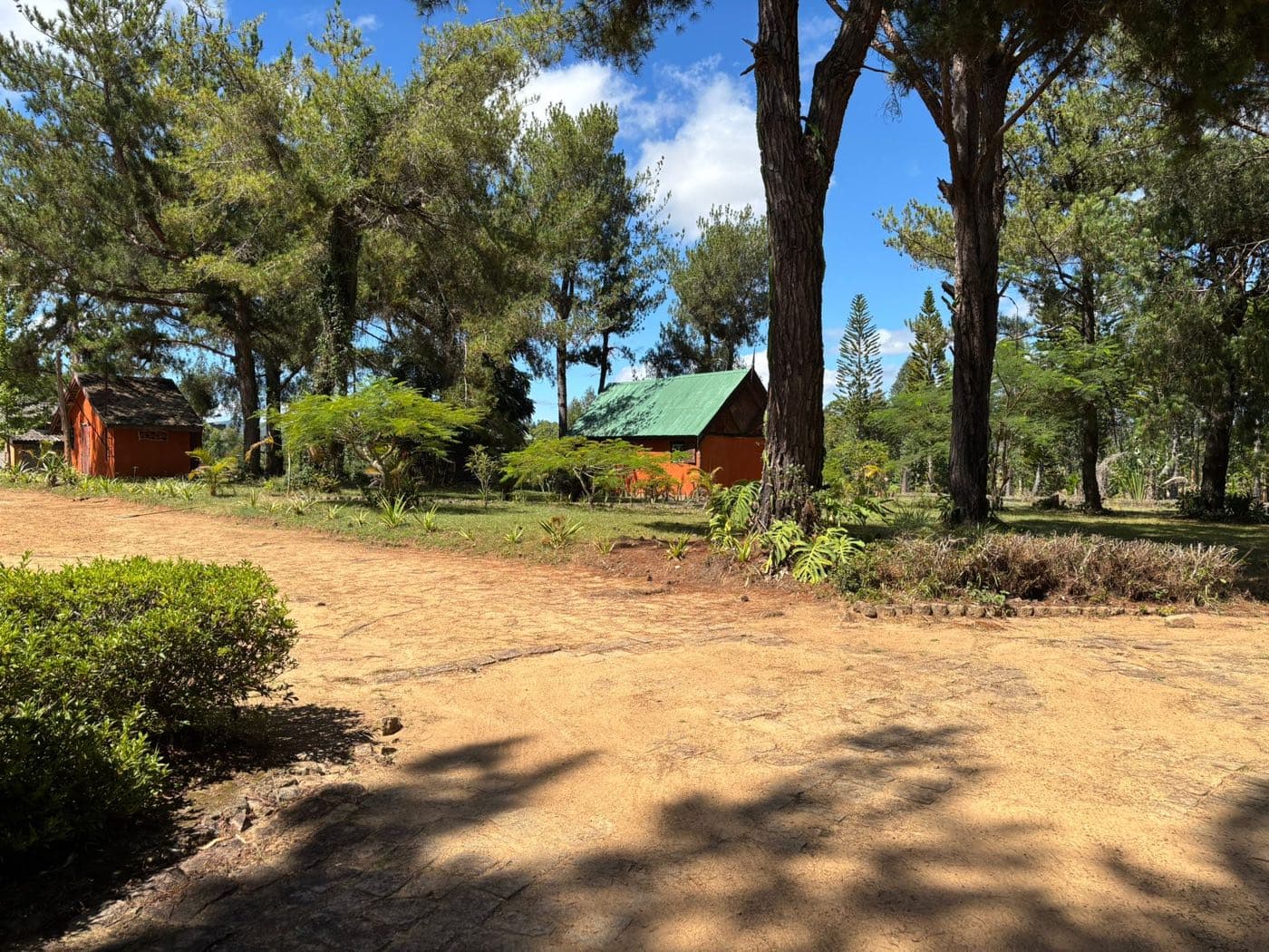 Allée pavée du Repos sous les grands pins, bungalows colorés en arrière-plan