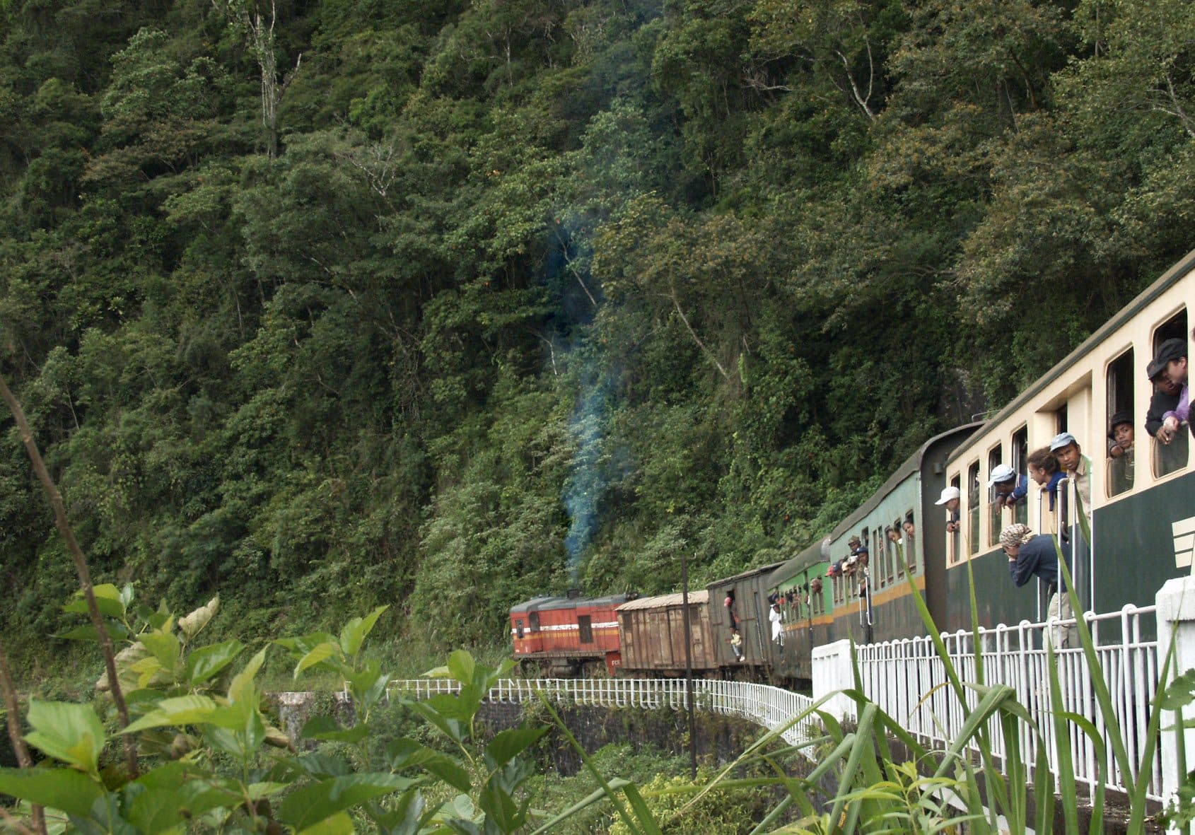 Le train classique de la ligne FCE longeant le corridor de forêt primaire, voyageurs accoudés aux fenêtres