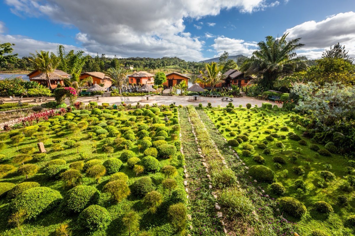 Jardins et plantation de thé