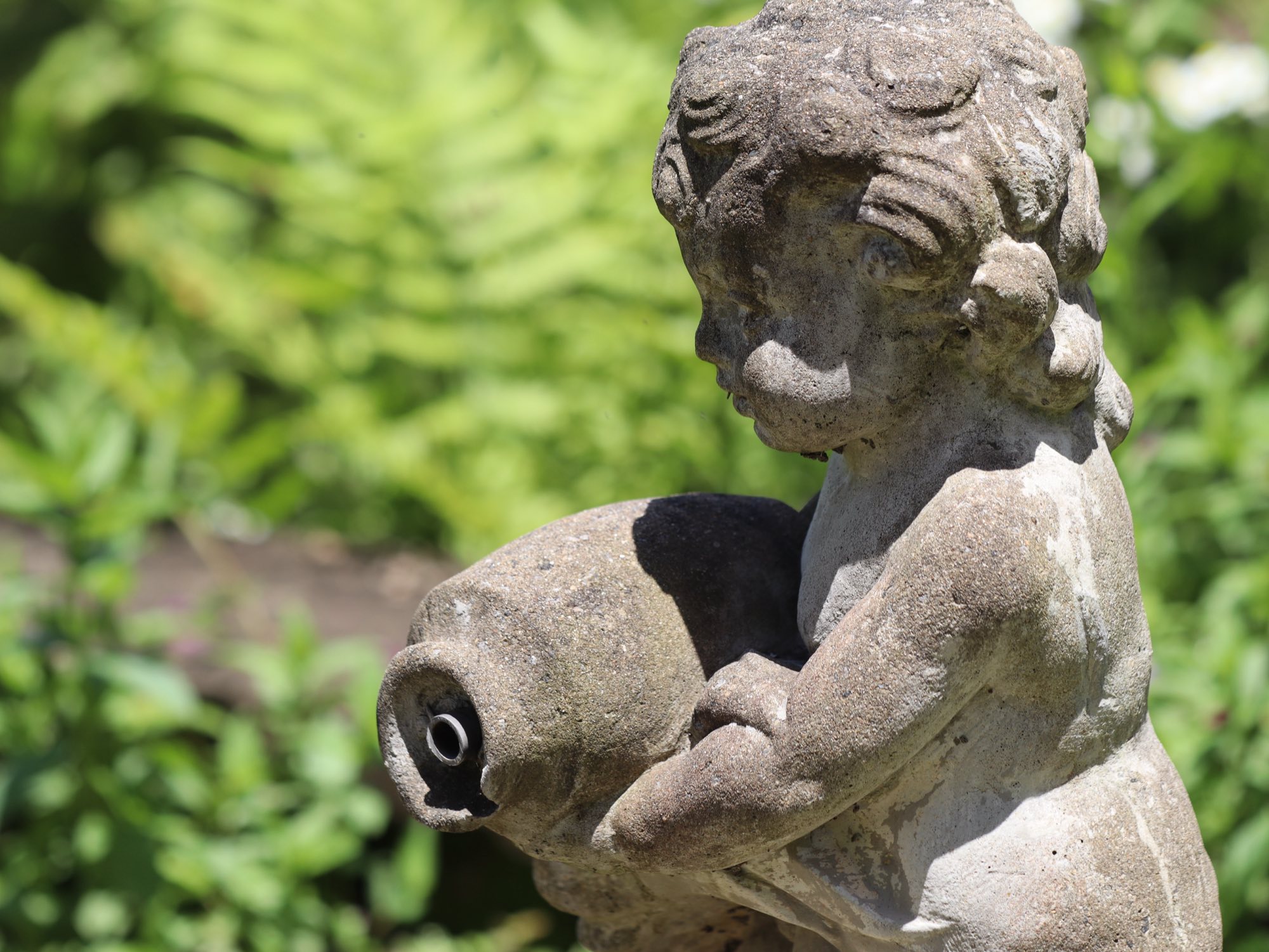 Statue de chérubin parmi les fougères du jardin